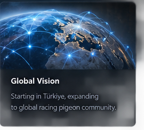 Global Vision