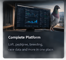 Complete Platform